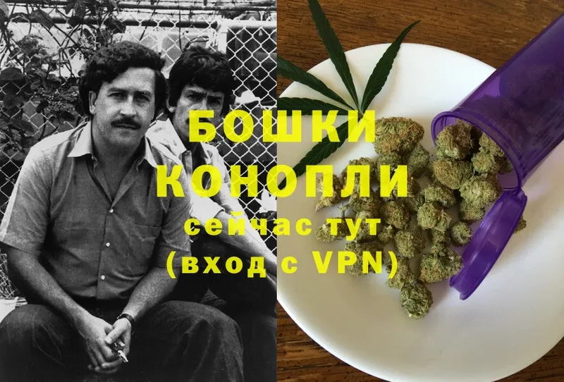 Шишки марихуана Ganja  Дмитров 